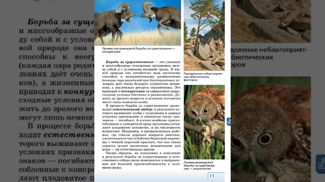 Биология 7к СТР-9 Ч. Дарвин и происхождение видов смотреть онлайн