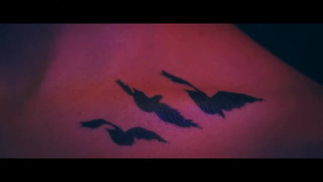 Divergent/Дивергент/Believer