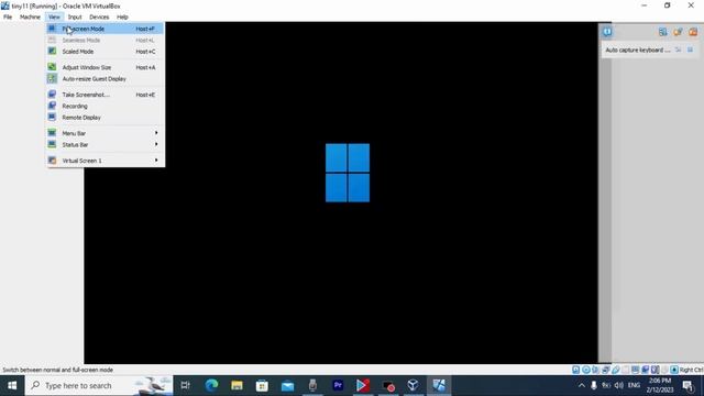Running Tiny11 22H2 with 16GB HDD & 2RAM in VirtualBox смотреть онлайн