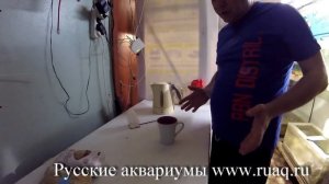 Золотые рыбки. Чем кормить?