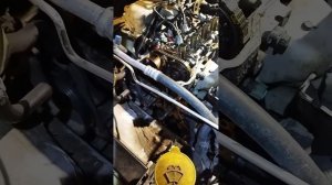 NISSAN PRIMERA P12 не заводится. Замена  цепи не помогла