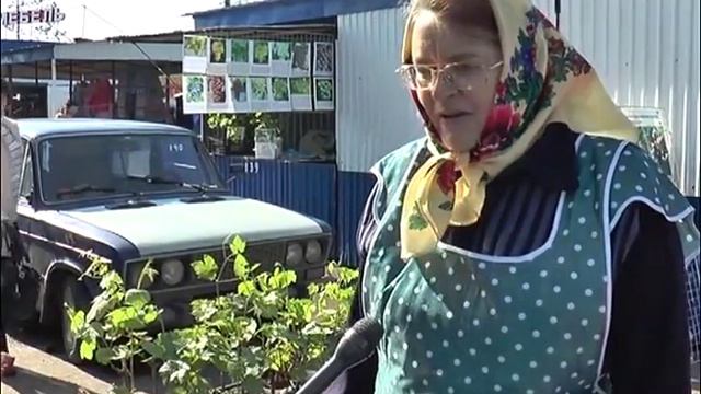 Сочный плод с весны растёт смотреть онлайн