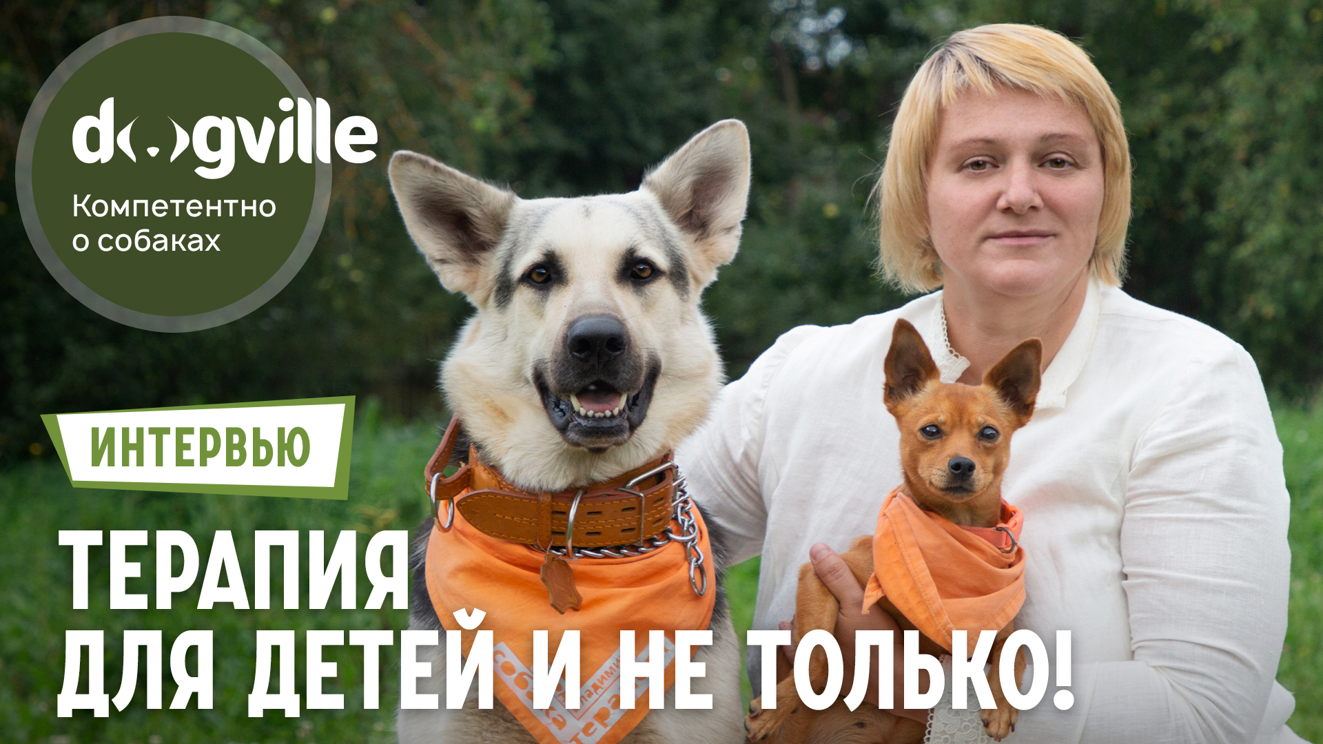 Канистерапия – что это? – Интервью с канистерапевтом и владелицей питомника смотреть онлайн