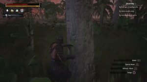 Conan exiles (offline)