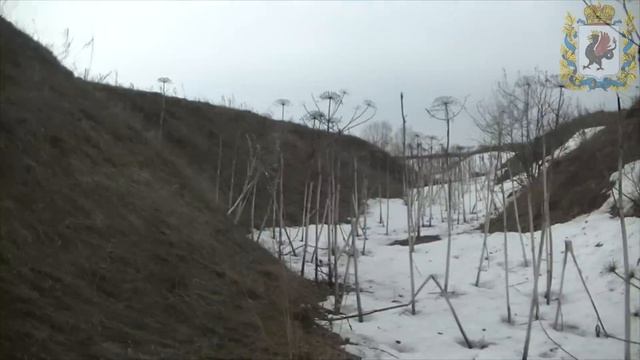 Копаем старые поля. Находки радуют! смотреть онлайн