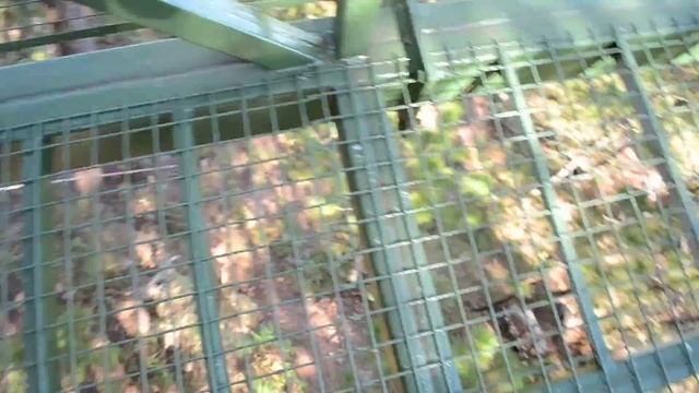 TREE TOP ADVENTURE PART 1 смотреть онлайн