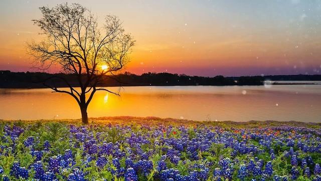 Музыка расслабляет нервную систему, улучшает память ? Сергей Грищук музыка смотреть онлайн