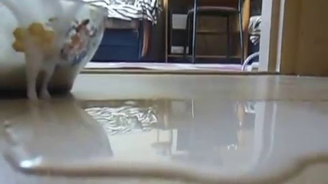 Newtonian fluid!!!НЬЮТОНОВСКАЯ ЖИДКОСТЬ!!! смотреть онлайн