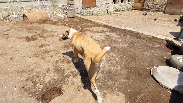 ОТЕЦ, ДОЧКА, ВНУЧКА - три поколения в одном видео! смотреть онлайн