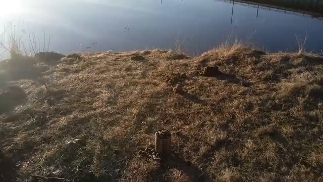 Велоприключение, лапник под палатку смотреть онлайн