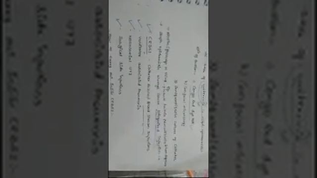 Staph Epidermidis. смотреть онлайн