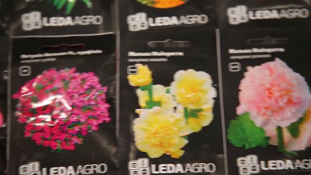 Семена ЛедаАгро для рассады!