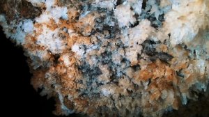 Три дня с ФИЛИМОН ФИЛОМ. Необычное путешествие с необычным человеком.