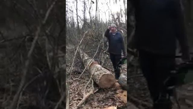 НЕЗАКОННА ПОРІЗКА ДЕРЕВ У ПАРКУ смотреть онлайн