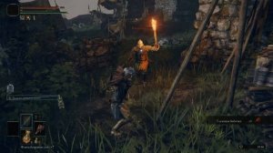 Elden Ring, редкое оружие,  Привитый дракон, тест,   Darksouls. Голова дракона. Кастет.