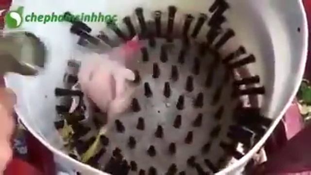 Аппарат, который ощипывает курицу смотреть онлайн