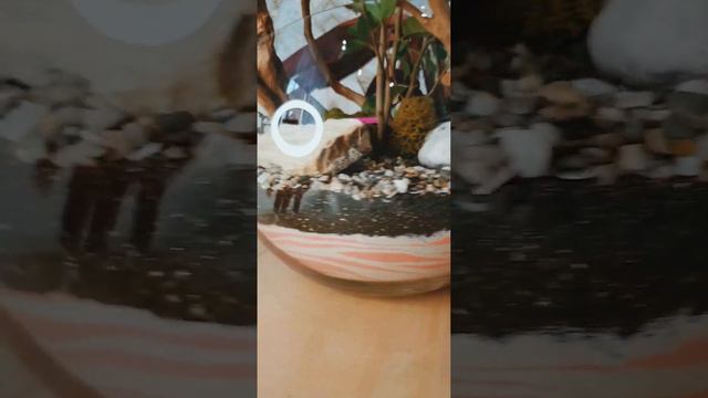Флорариум на свадьбу! смотреть онлайн
