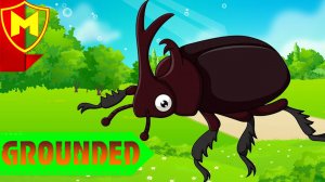 Grounded ➤ КАК СОЗДАТЬ МОЛОТ 3 УРОВНЯ / ГДЕ НАЙТИ ЖУКА-БЫКА / КАК ПОЛУЧИТЬ САМЫЙ ЛУЧШИЙ МОЛОТ