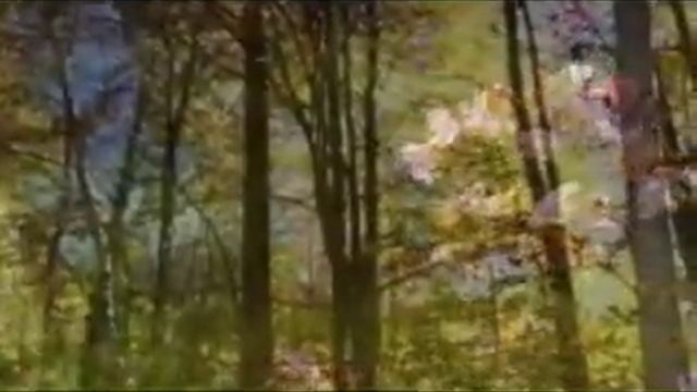 Beautiful Autumn........ смотреть онлайн