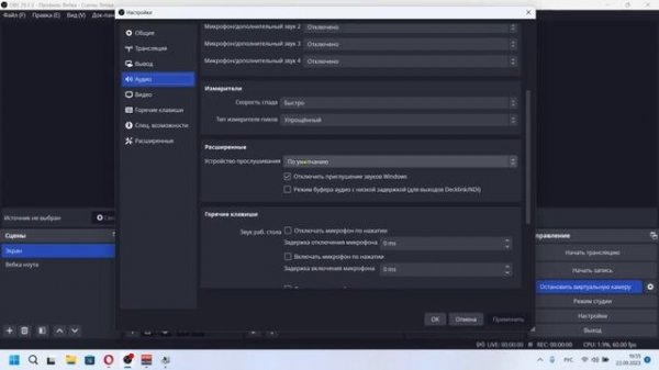 Виртуальная камера в чат рулетке, выводим картинки и звук из OBS