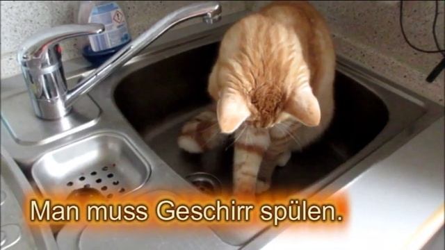 Порядок Учим разговорный немецкий без учебника с переводом Бесплатная онлайн программа начинающим смотреть онлайн