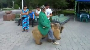 Такое можно увидеть только в Таджикистане