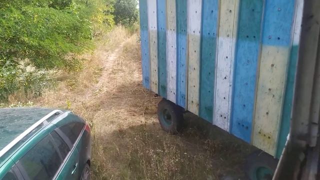 Борьба с молью на пасеке. Хранение суши. смотреть онлайн