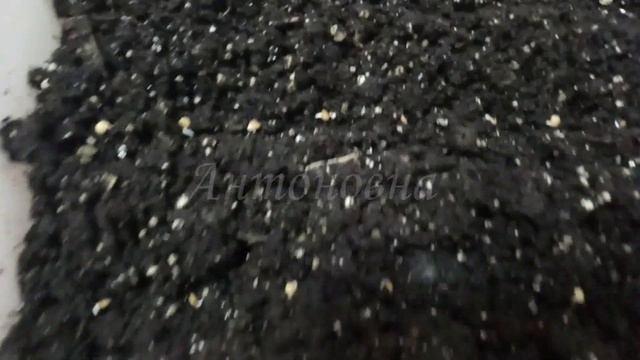 ЯКІ БАКЛАЖАНИ СІЯТИ? смотреть онлайн