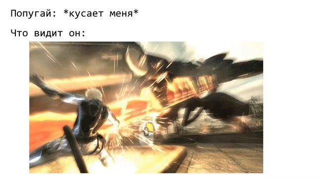 Попугай: *кусает меня* смотреть онлайн