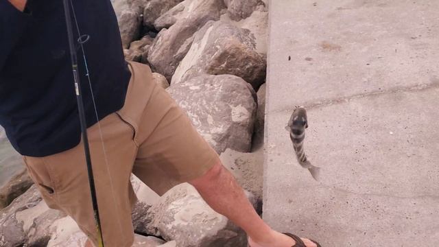 Piling Up The Fish!!! смотреть онлайн