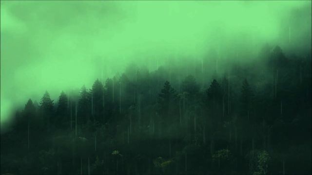 Подарок из Ада _ Рассказы _ Ужастики.