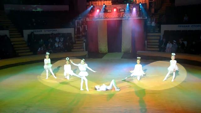 "Золотая арена".Донецк. Цирк "Космос" смотреть онлайн