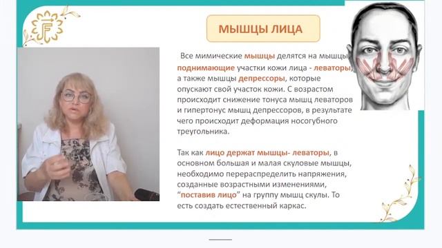 6 уровней старения лица. Подробный разбор и как векторный массаж работает на каждом из уровней. смотреть онлайн