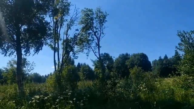 Барахло .Что творится в гардеробе Лены Хеппи. часть 2. смотреть онлайн