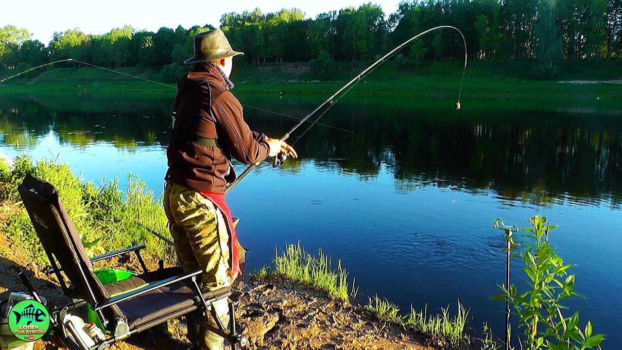 Я ДАВНО ТАКОГО НЕ ВИДЕЛ! РЫБАЛКА на УТРЕННЕЙ ЗОРЬКЕ. Рыбалка на фидер на ЛЕЩА. смотреть онлайн
