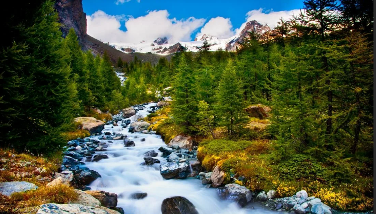 Журчание реки, щебетание маленьких птиц ✦ Успокаивающие Звуки ✦ Relax Sleep смотреть онлайн