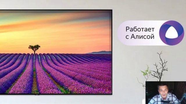 Телевизоры Samsung подружились с «Алисой» смотреть онлайн