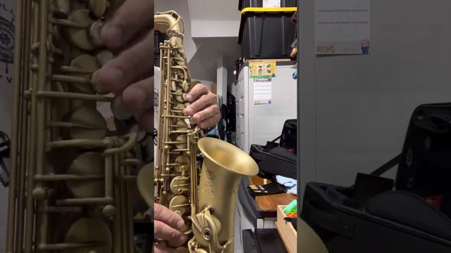 Selmer Paris Supreme Antique Lacquer Alto Saxophone - Garage Jam (raw) смотреть онлайн