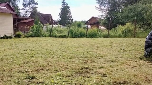 КАК КОСИТЬ? Правильный и НЕправильный покос травы - заказать скосить траву СПб, Гатична и Ленобласт смотреть онлайн