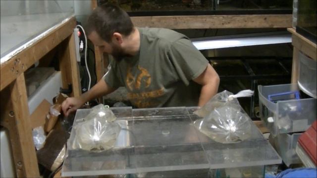 New fish from a viewer! смотреть онлайн