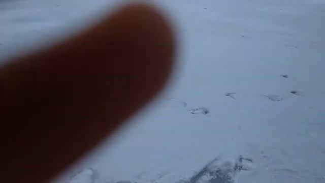 Зимняя рыбалка на жерлицы)) смотреть онлайн