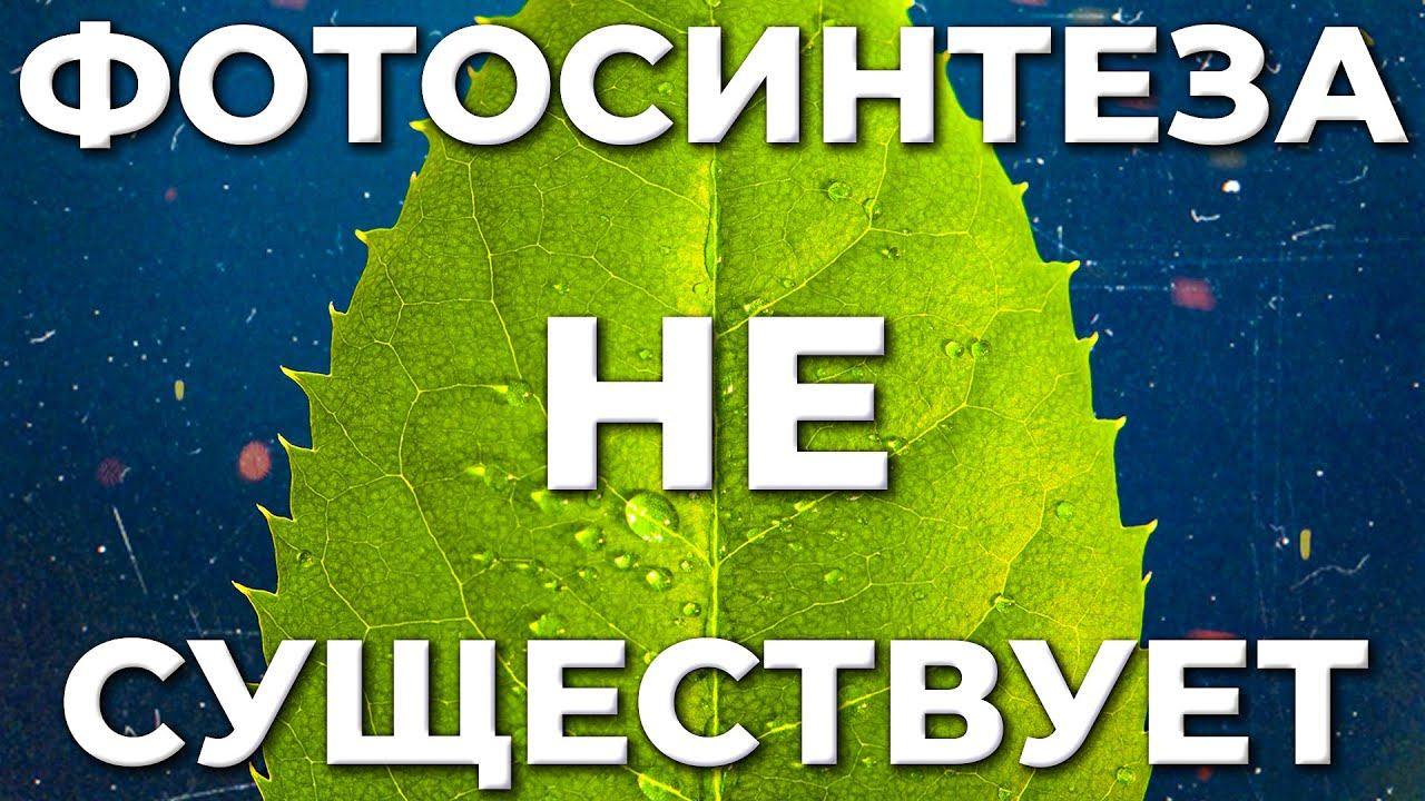 ЧТО НЕ ТАК С ФОТОСИНТЕЗОМ? ТОП-7 вопросов к теории газообмена растений смотреть онлайн