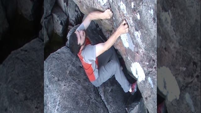 Climbing Roots Short 