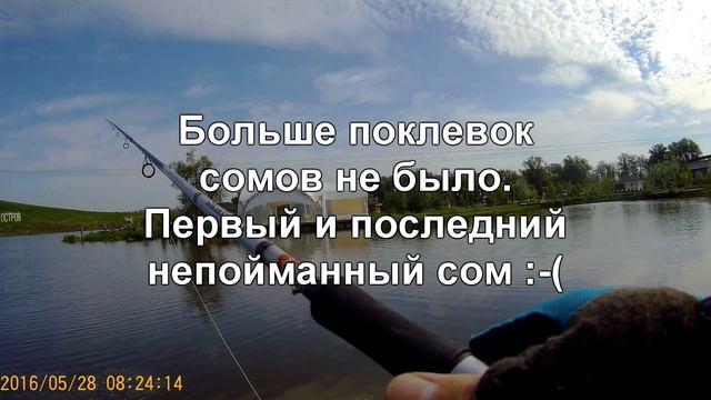 Рыбалка Остров попытка поймать сома и карпа смотреть онлайн