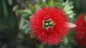 Экхарт Толле - 28. Быть пробужденным без мыслей, озвучивает Nikosho.mp4