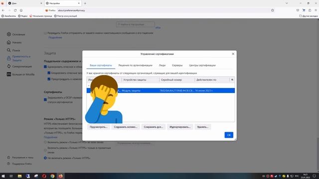 Как сохранить сертификат в mozilla смотреть онлайн
