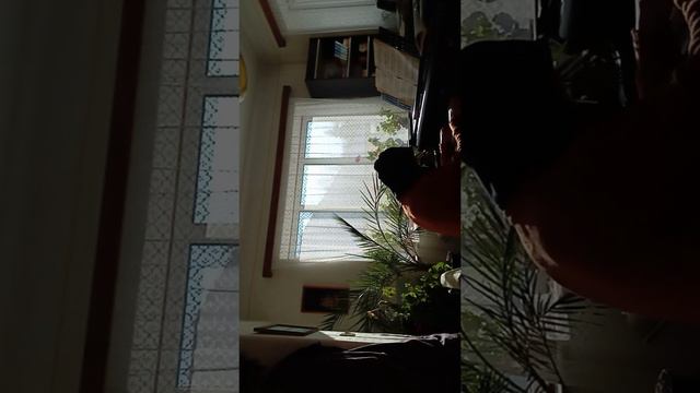 Impro 1 Rudolf Stelzhamer old piano смотреть онлайн