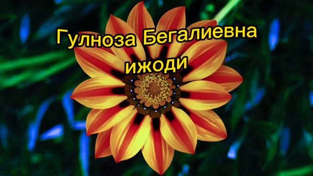 Шеър Кушалок келин ва куёв #туйбоб #шеърлар