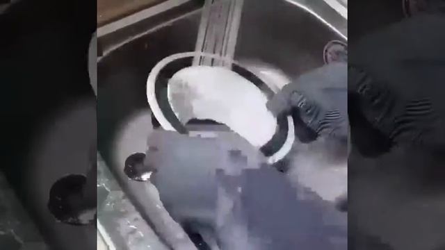 Перчатка для мытья посуды смотреть онлайн