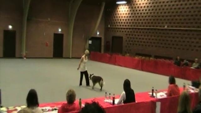 Открытый Чемпионат Европы 2011 смотреть онлайн